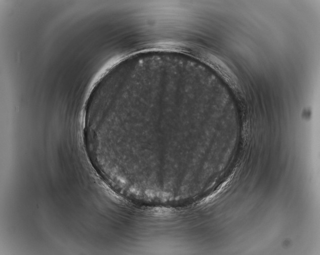 X0000098011180200804181127