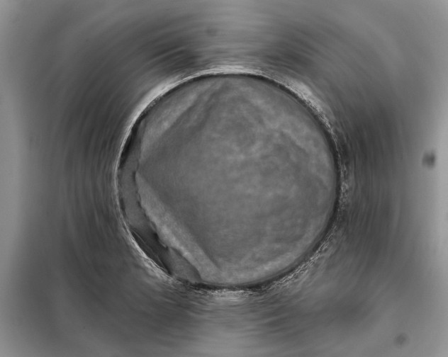 X0000098011181200804181127