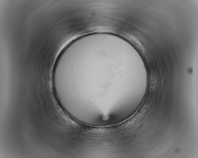 X0000098011182200804181127