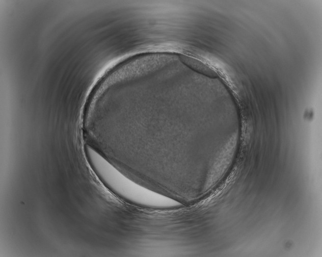 X0000098011184200804181127