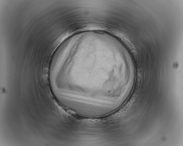 X0000098011185200804181127