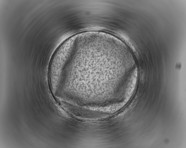 X0000098011186200804181127