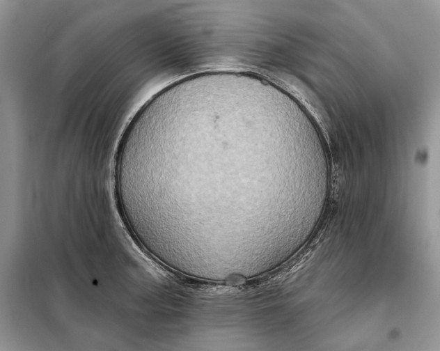 X0000098011187200804181127