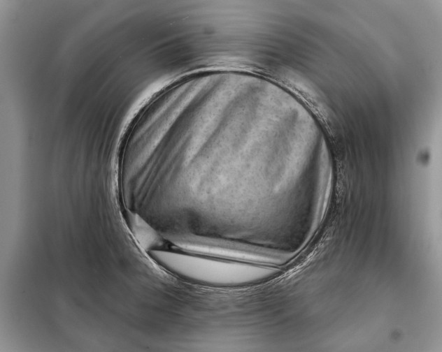 X0000098011188200804181126