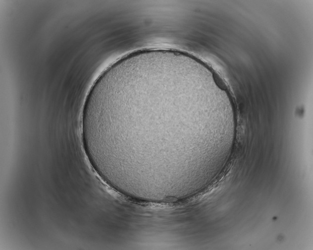 X0000098011191200804181126