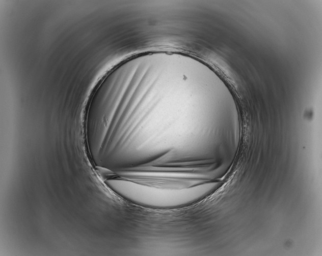 X0000098011192200804181126