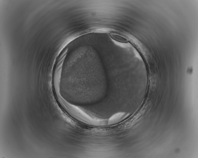 X0000098011194200804181126