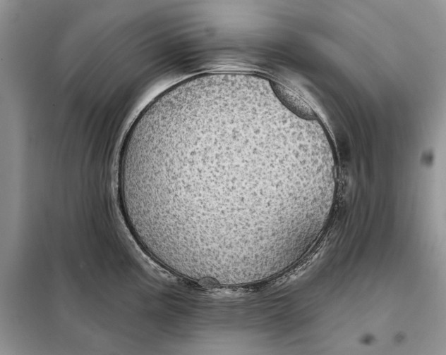 X0000098011195200804181126