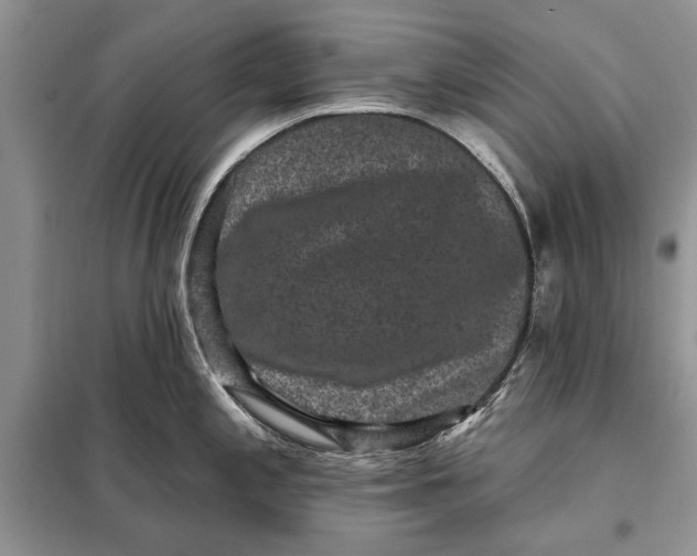 X0000098011197200804181126