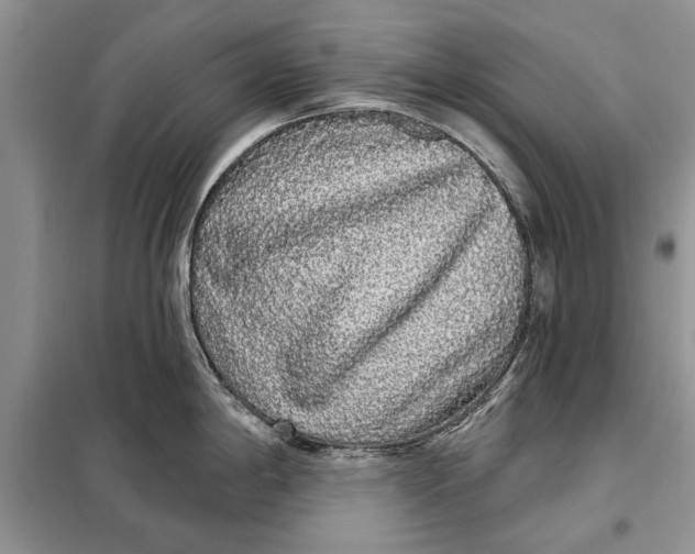 X0000098011198200804181126