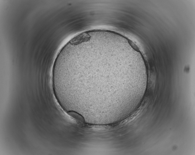 X0000098011199200804181126