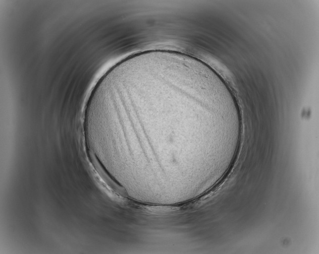 X0000098011200200804181126