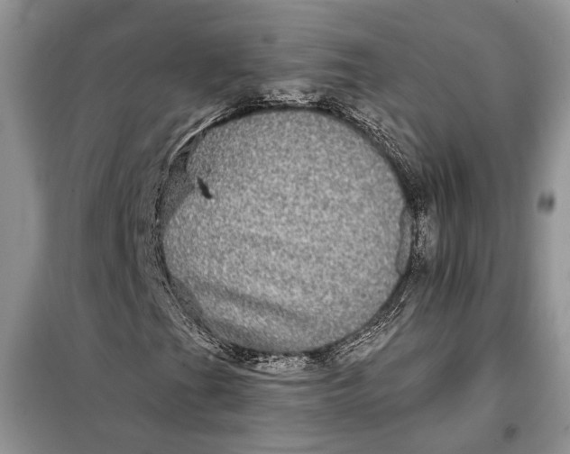 X0000098011201200804181125