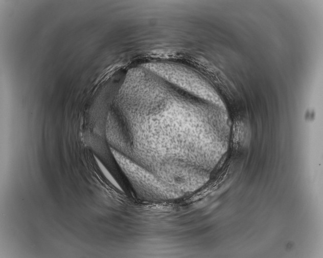 X0000098011202200804181126