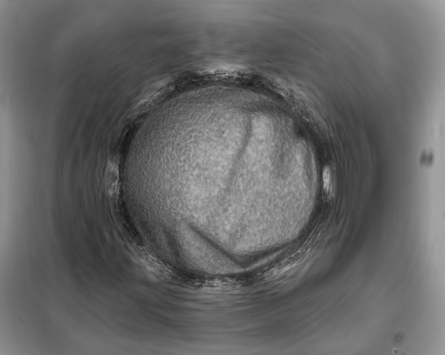 X0000098011203200804181126