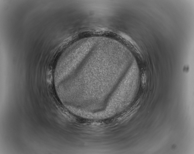 X0000098011204200804181126