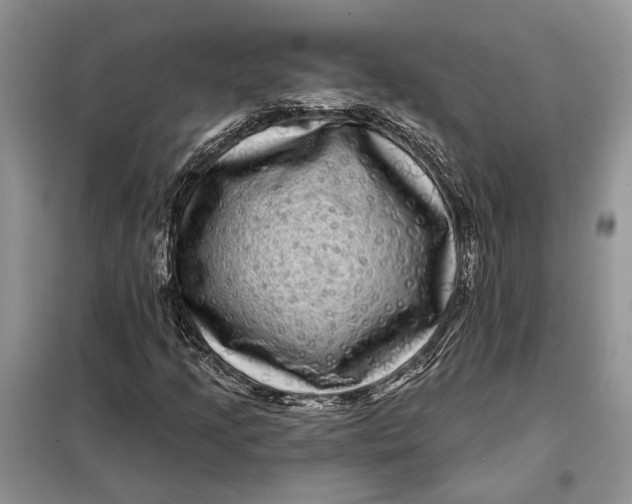 X0000098011205200804181126