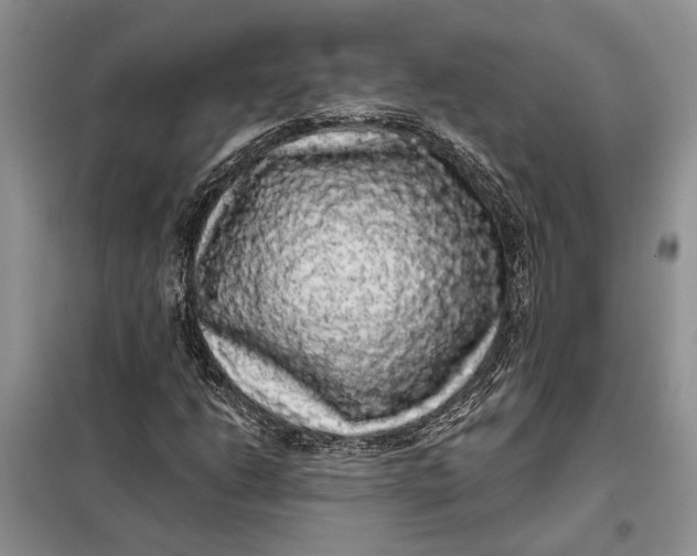 X0000098011206200804181126