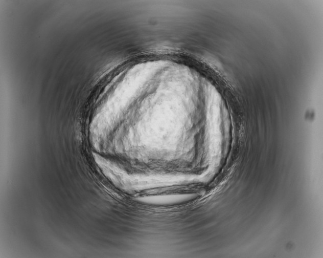 X0000098011209200804181126