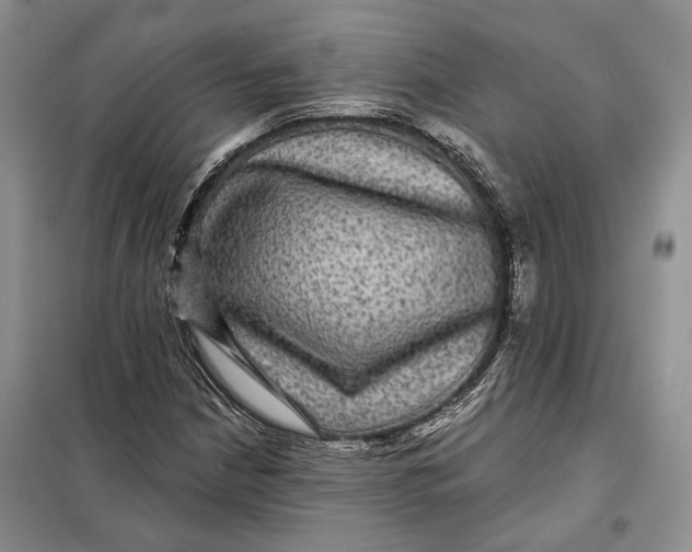 X0000098011210200804181126