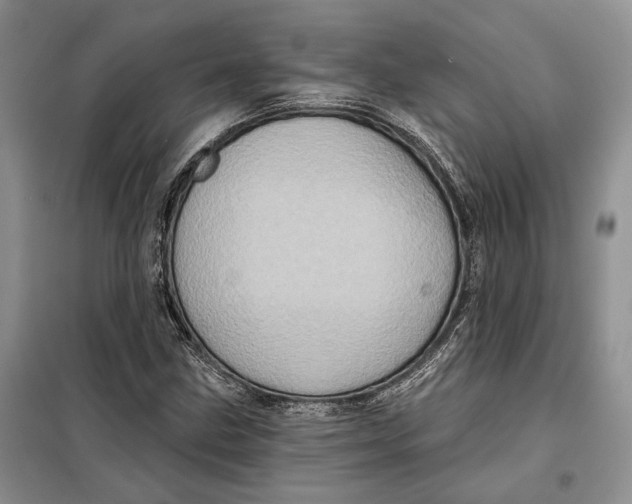 X0000098011211200804181126