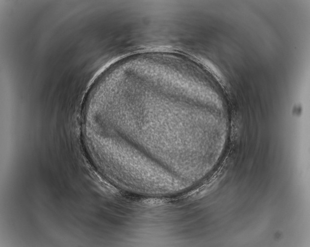 X0000098011212200804181126