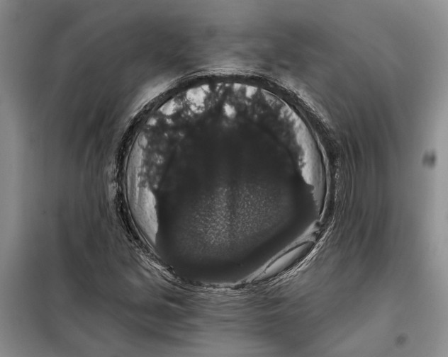 X0000098011213200804181126