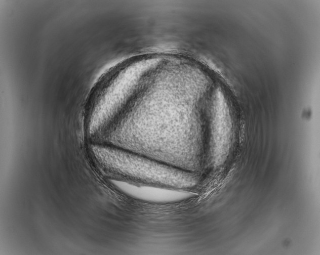 X0000098011214200804181126