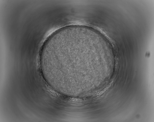 X0000098011215200804181126