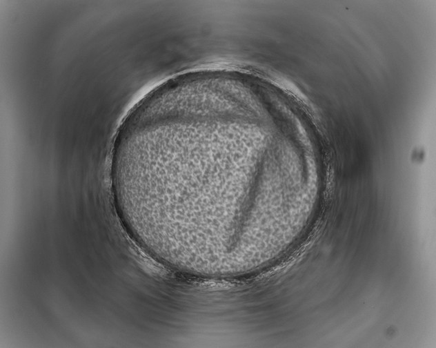 X0000098011216200804181126