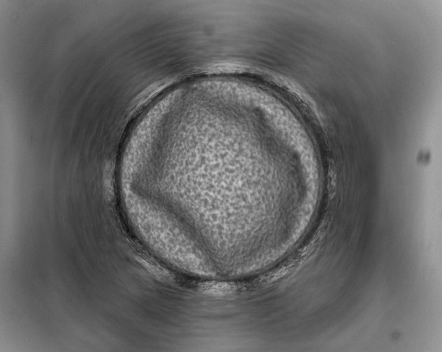 X0000098011217200804181126