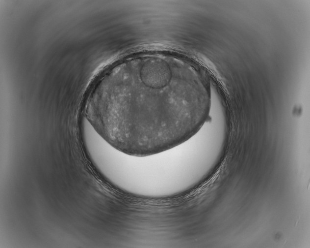 X0000098011218200804181126