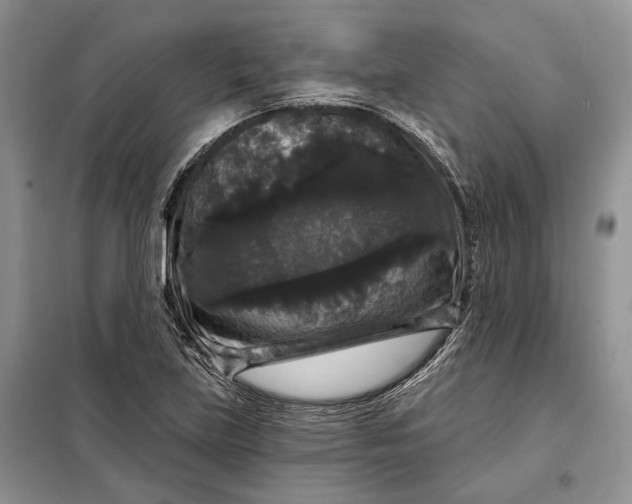 X0000098011219200804181126