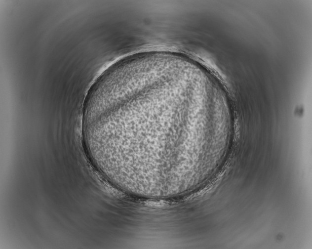 X0000098011220200804181126