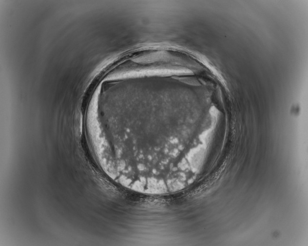 X0000098011221200804181126