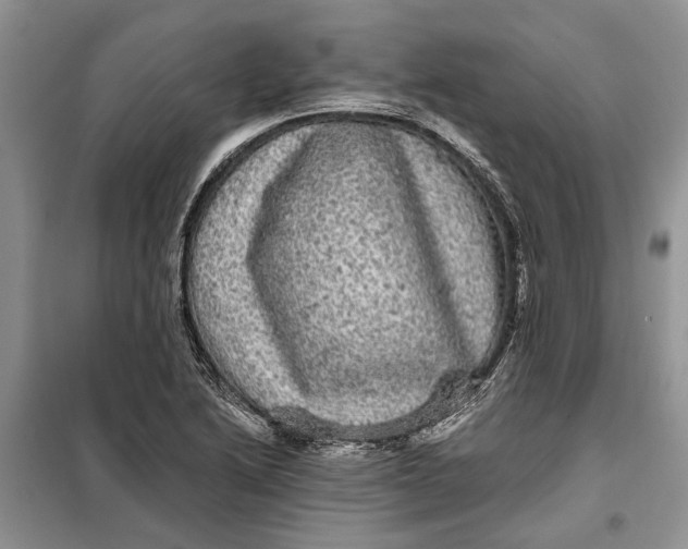 X0000098011222200804181126