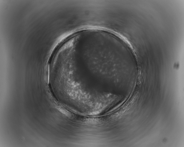 X0000098011223200804181126