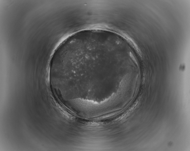 X0000098011224200804181126