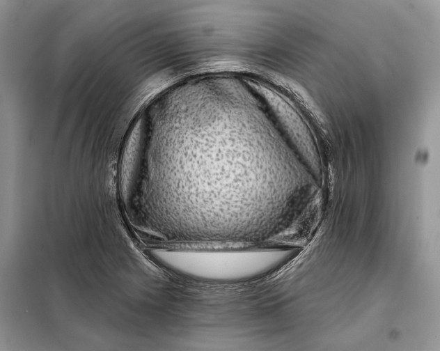 X0000098011225200804181126