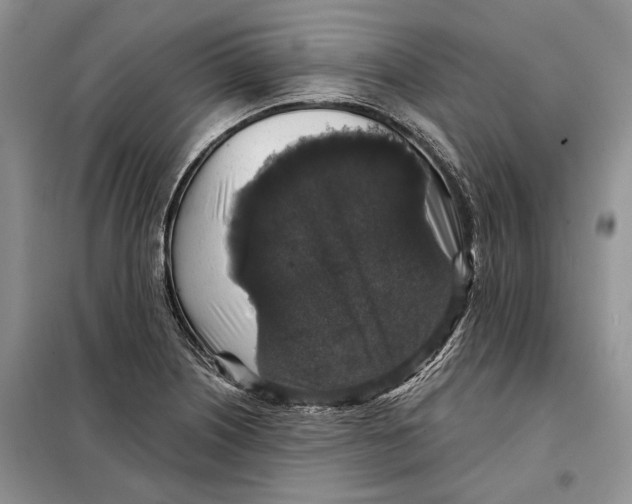 X0000098011226200804181126