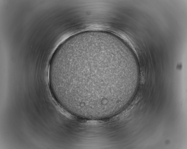 X0000098011227200804181126