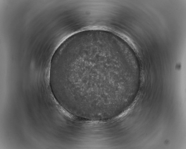 X0000098011228200804181126