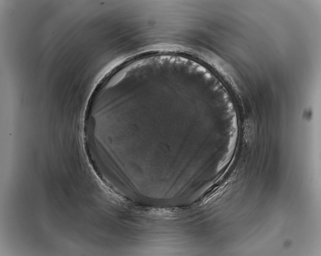 X0000098011229200804181126