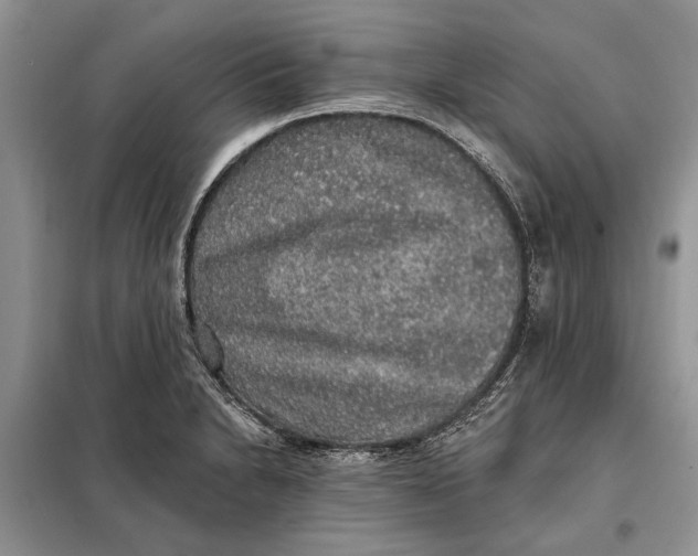 X0000098011230200804181126