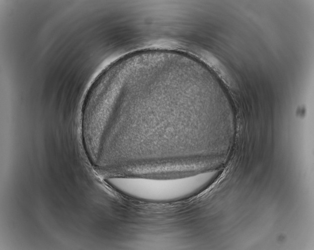 X0000098011232200804181126