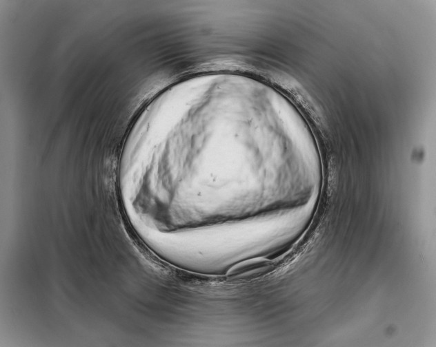 X0000098011233200804181126