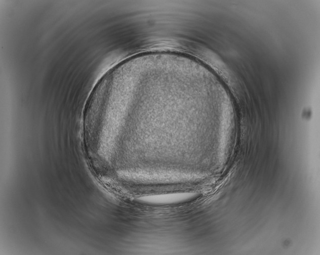 X0000098011234200804181126