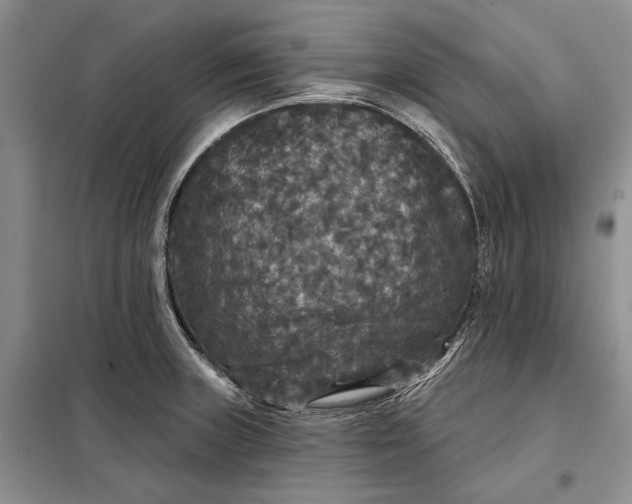 X0000098011235200804181126