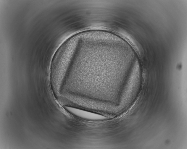 X0000098011236200804181126