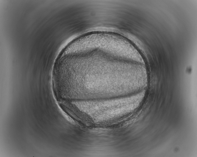 X0000098011237200804181126